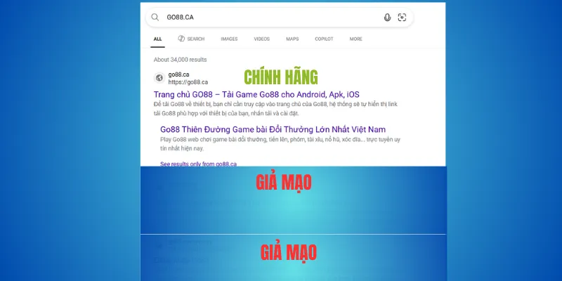 Trang giả – cách phát hiện nhanh